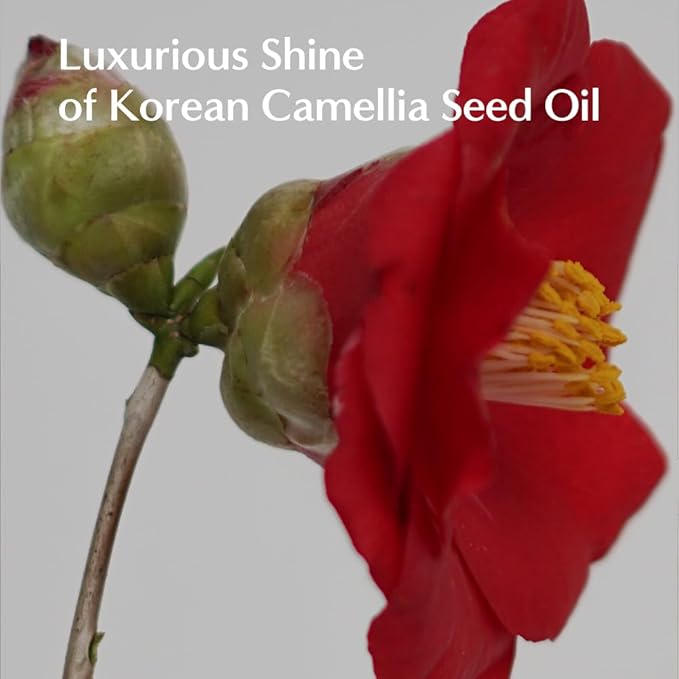 Korean Keratin Leave In Conditioner 4.06 fl oz L04‑N Hair Cream for Deep Nourishing | Keratin Pro Booster & Heat Protection with Korean Camellia Oil