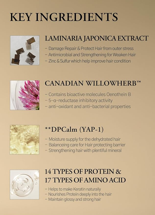 laferme Laminaria Conditioner with Organic Ingredient, Damaged Hair Care Korean Conditioner, Hydrating & Smoothing, Anti-Frizz, Sulfate & Paraben Free, for Women & Men, 16.9 Fl Oz, Pine & Eucalyptus