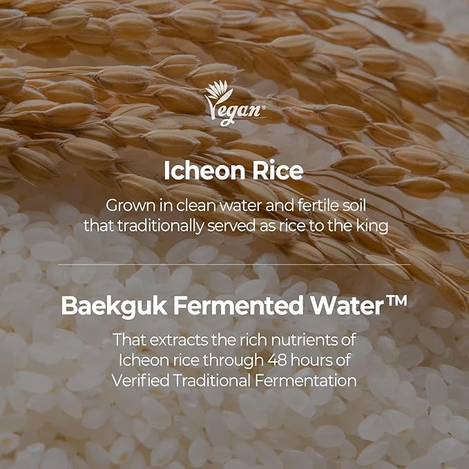 SKINFOOD Rice Starter Kit, Rice Toner, Rice Serum, Rice Moisturizer, and Rice Face Wash for Glass Skin, Korean Skin Care Set, Travel Size Kit, Stocking Stuffers, Gift Set for Women, Skincare Gift Set